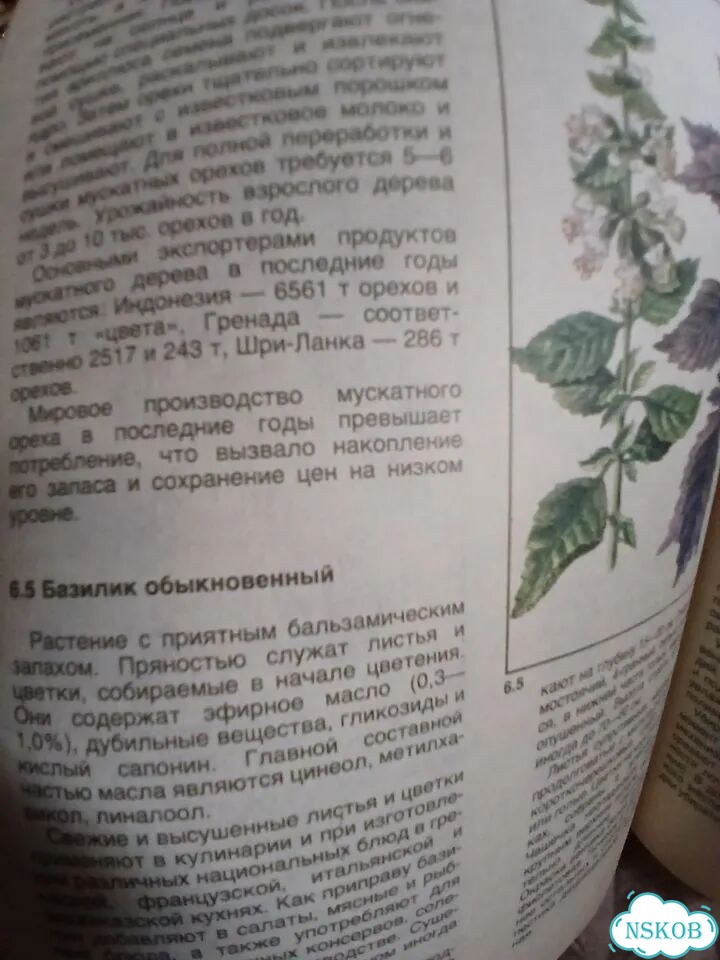 Мир культурных растений фото 10