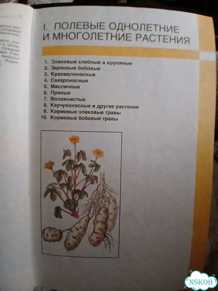 Мир культурных растений фото 5