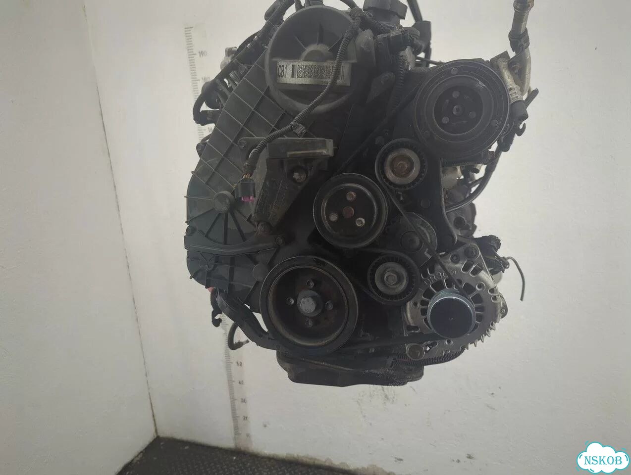 Двигатель Opel Meriva A17DTI фото 1