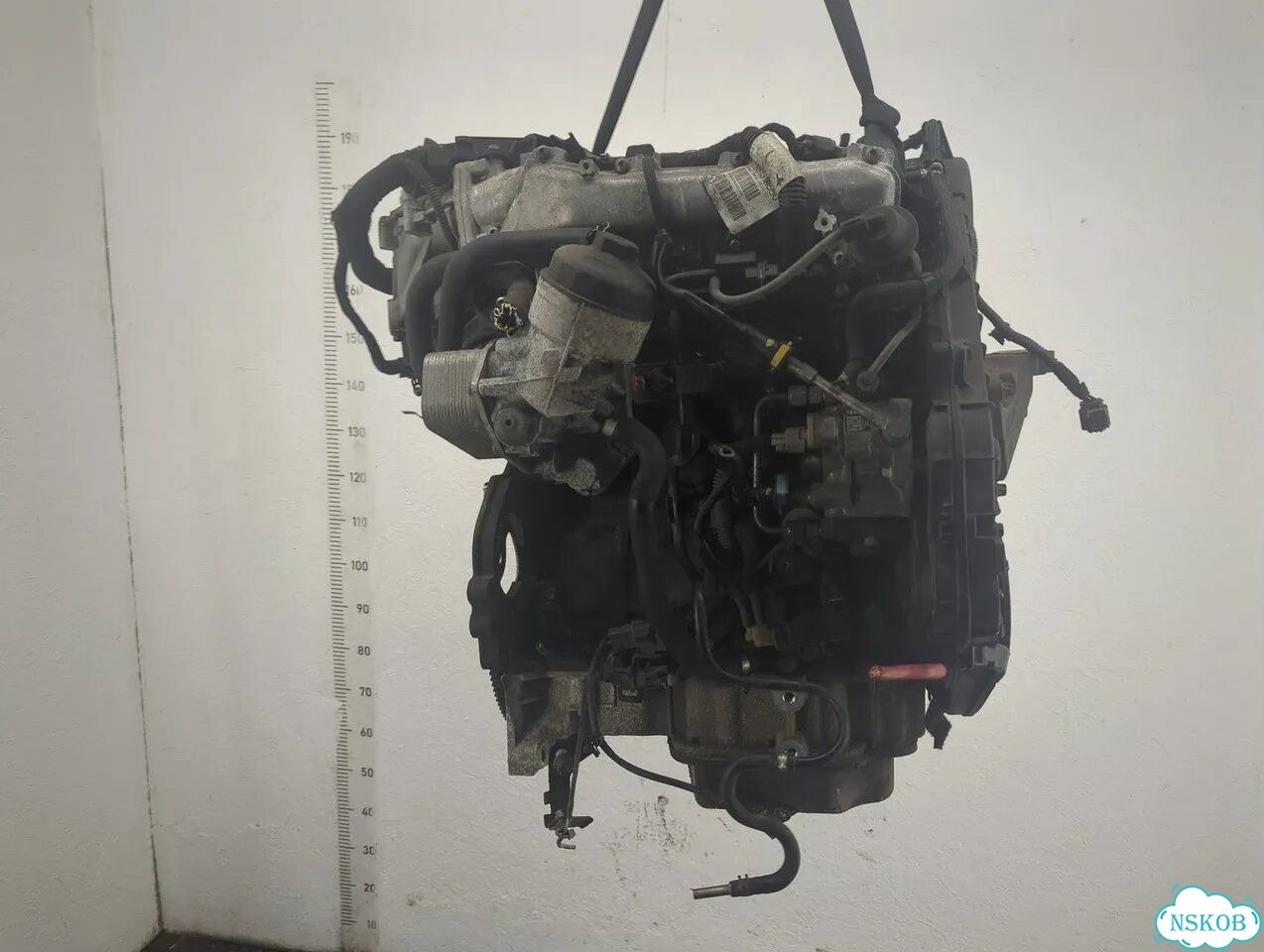 Двигатель Opel Meriva A17DTI фото 3