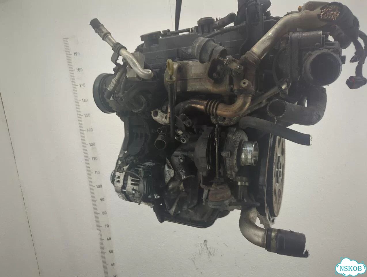 Двигатель Opel Meriva A17DTI фото 5