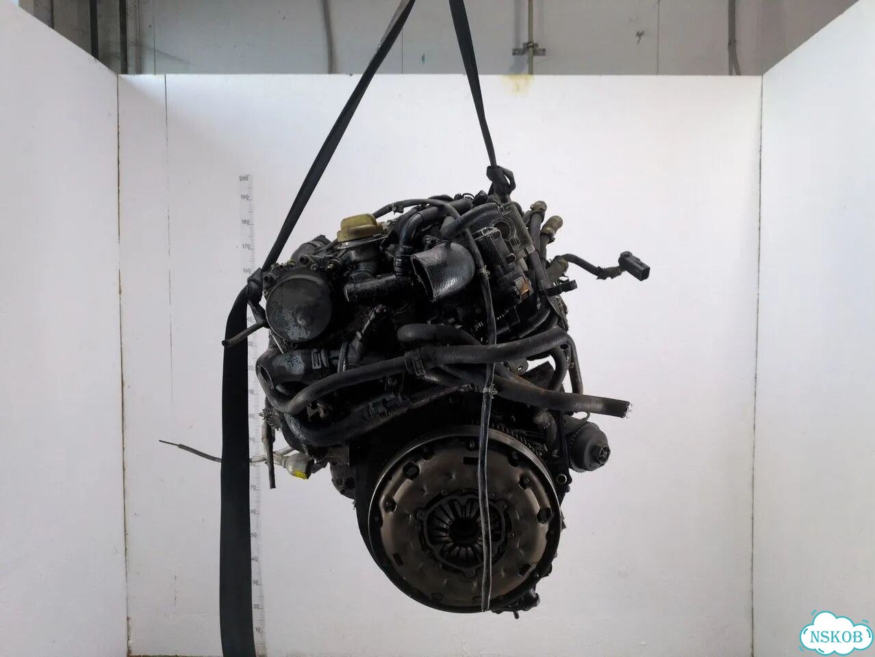 Двигатель Opel Signum Z19DTH фото 3
