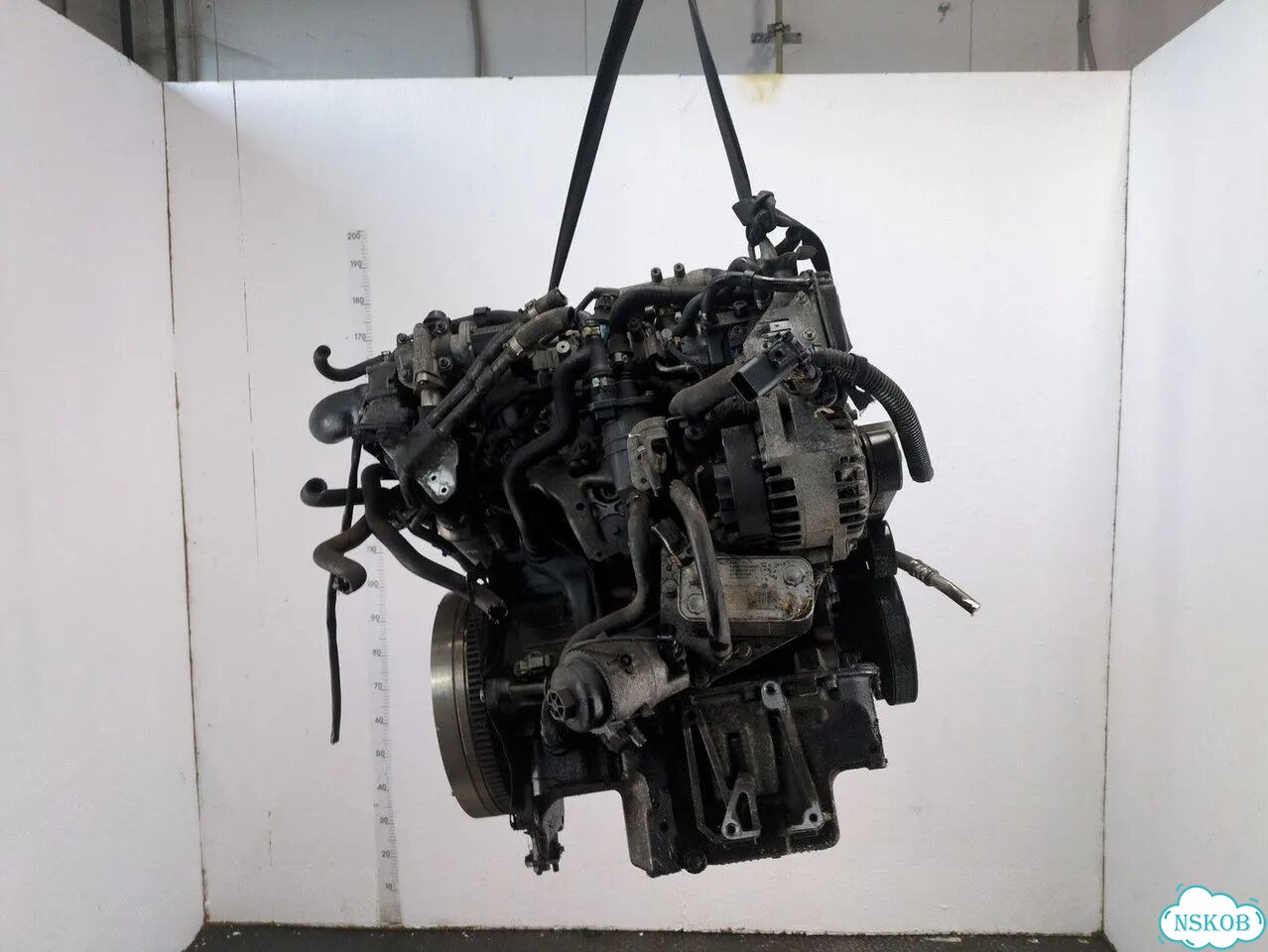Двигатель Opel Signum Z19DTH фото 4