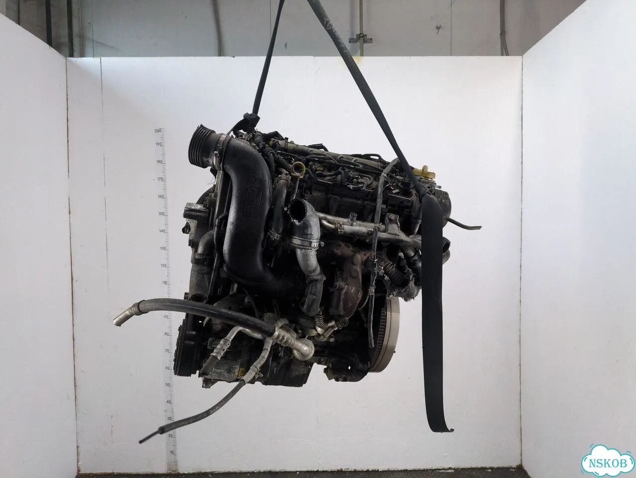 Двигатель Opel Signum Z19DTH фото 5