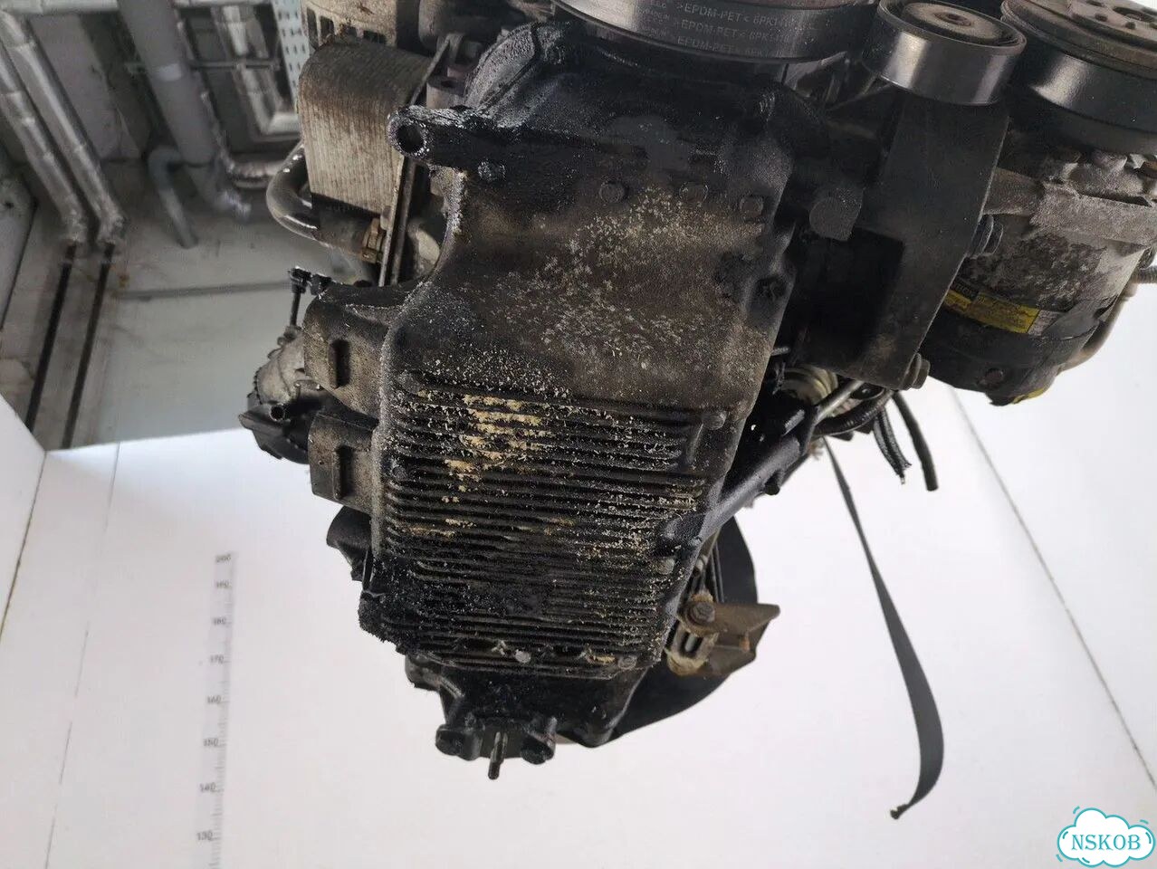 Двигатель Opel Signum Z19DTH фото 7