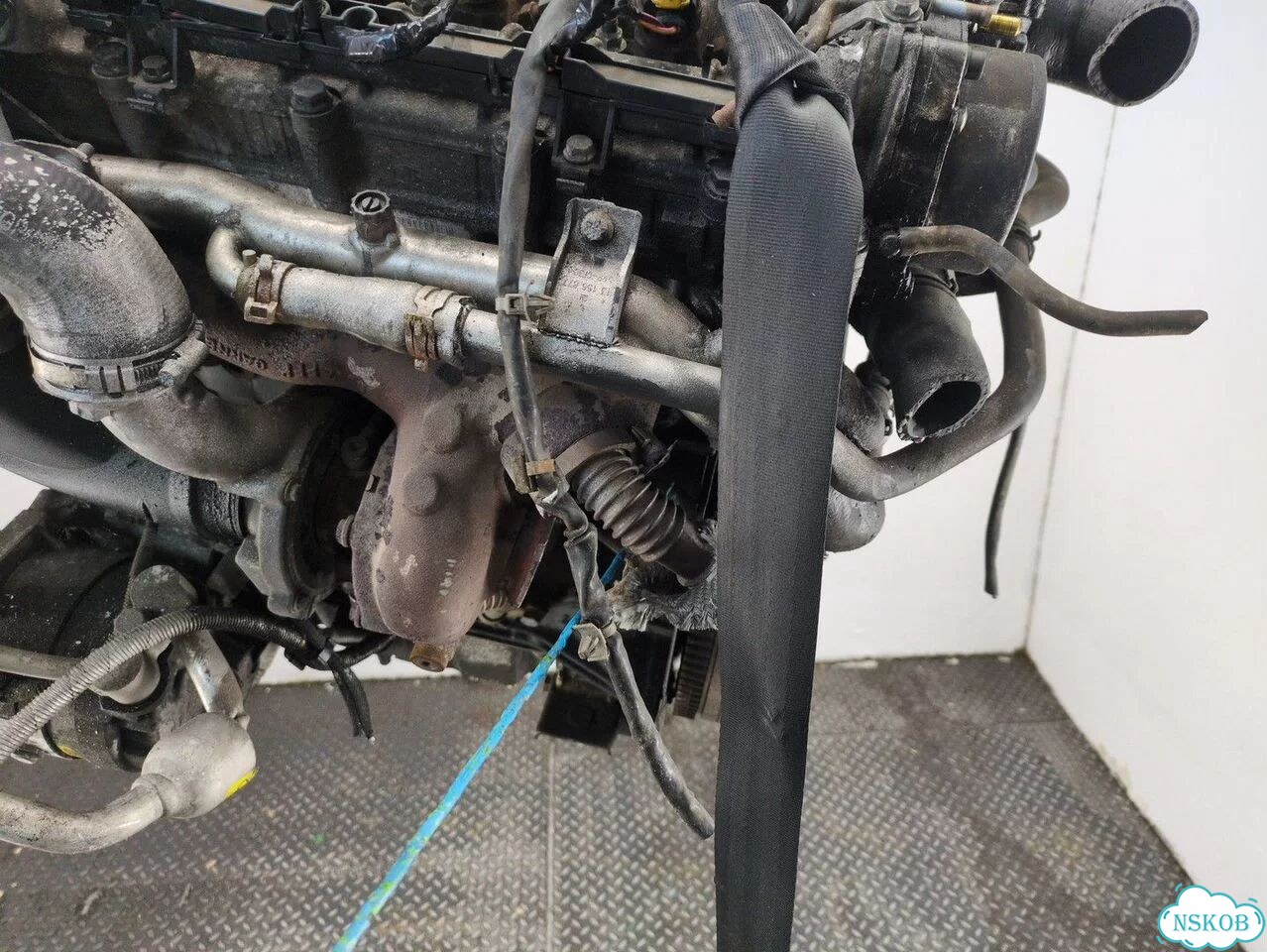 Двигатель Opel Signum Z19DTH фото 9