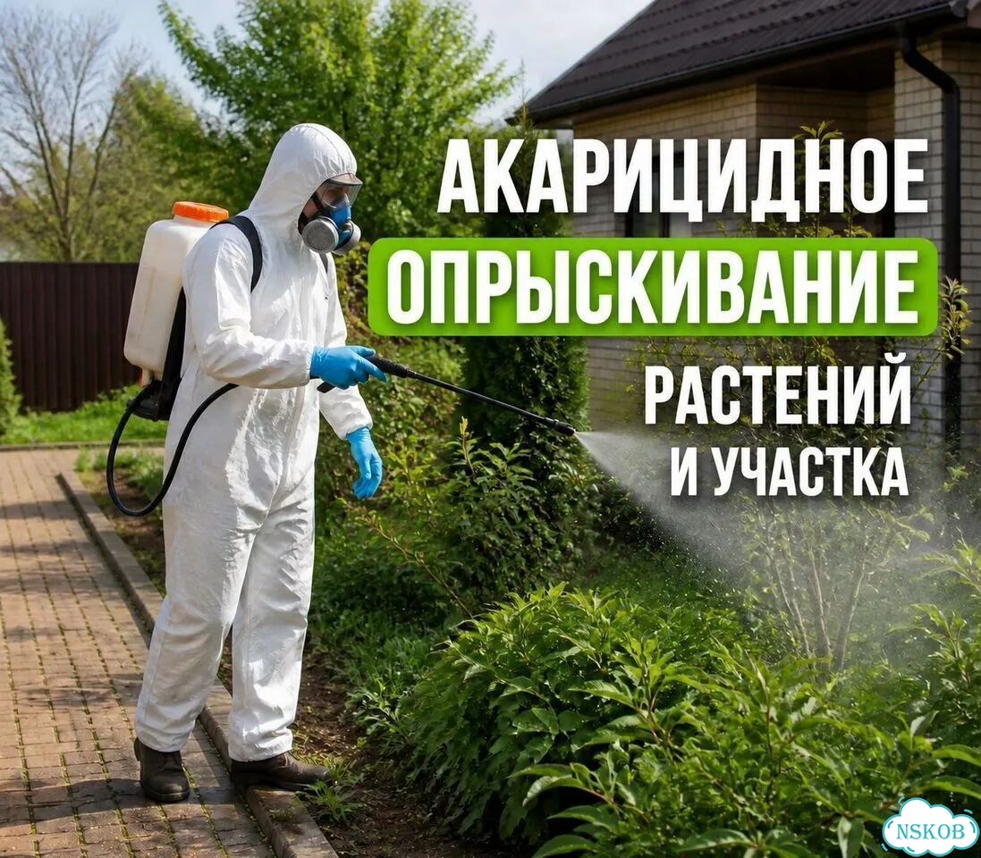 Лечение, Спил и обрезка деревьев фото 2