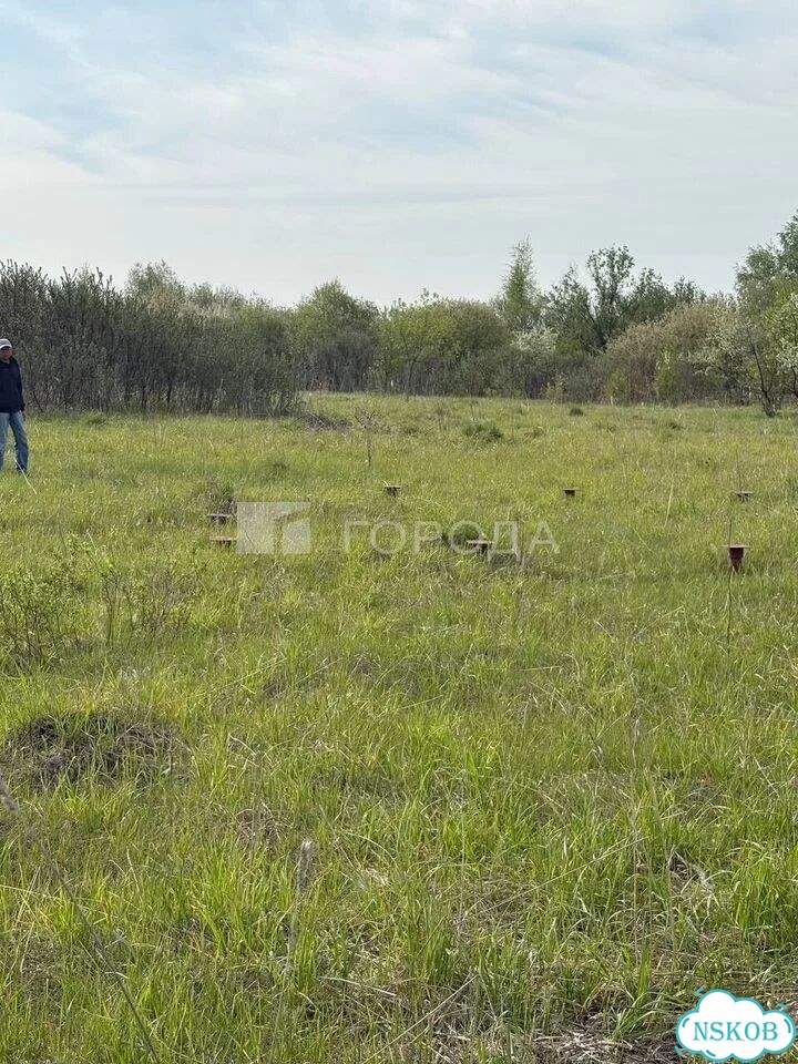 Участок 10 сот. (ИЖС) фото 5