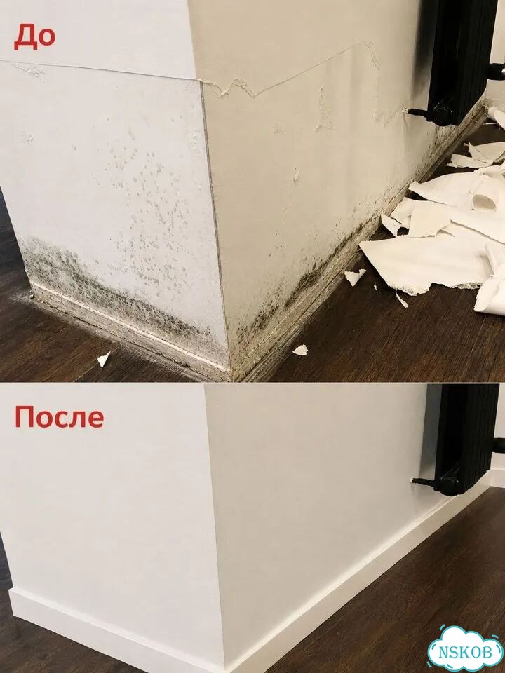 Уничтожение Плесени Обработка От Грибка Гарантия фото 5