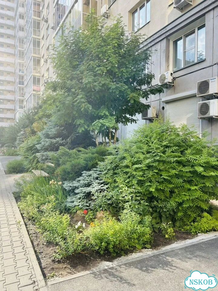 1-к. квартира, 39 м², 13/16 эт. фото 23