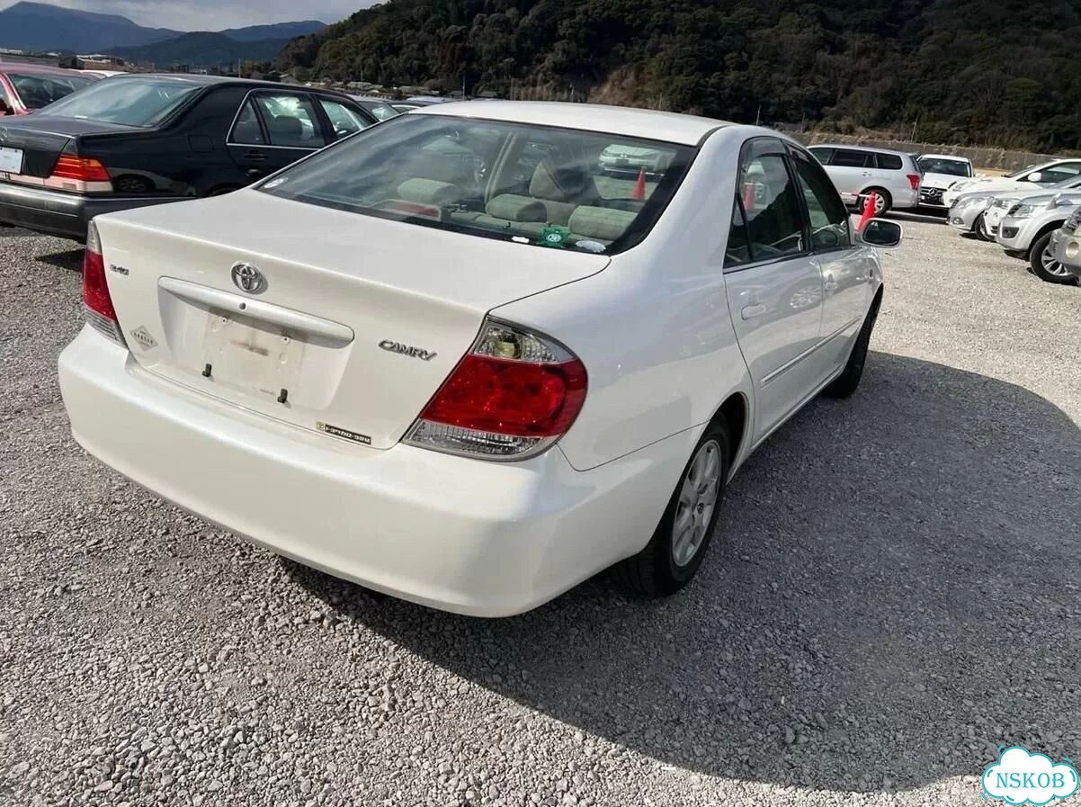 Петля двери toyota camry ACV30 2AZ-FE 2005 фото 9