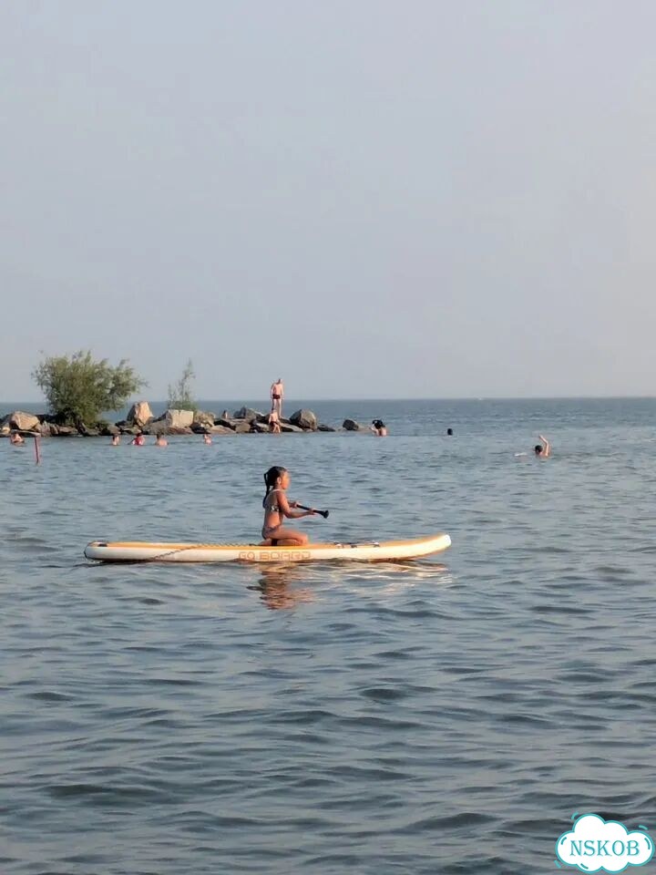 Аренда сапа фото 1
