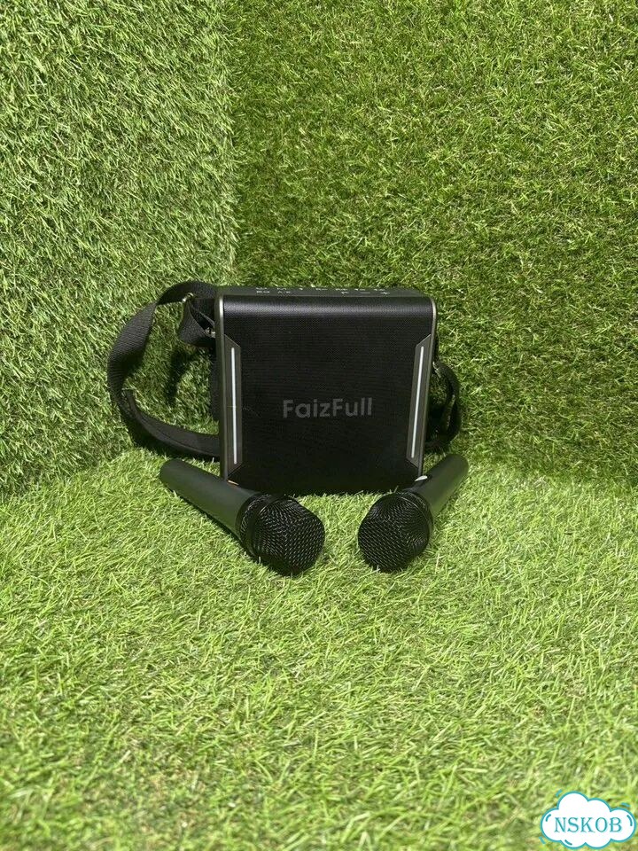Портативная колонка FaizFull FK300(З) фото 1