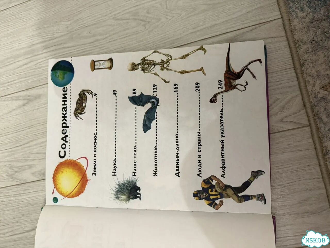 Энциклопедия для школьника фото 6