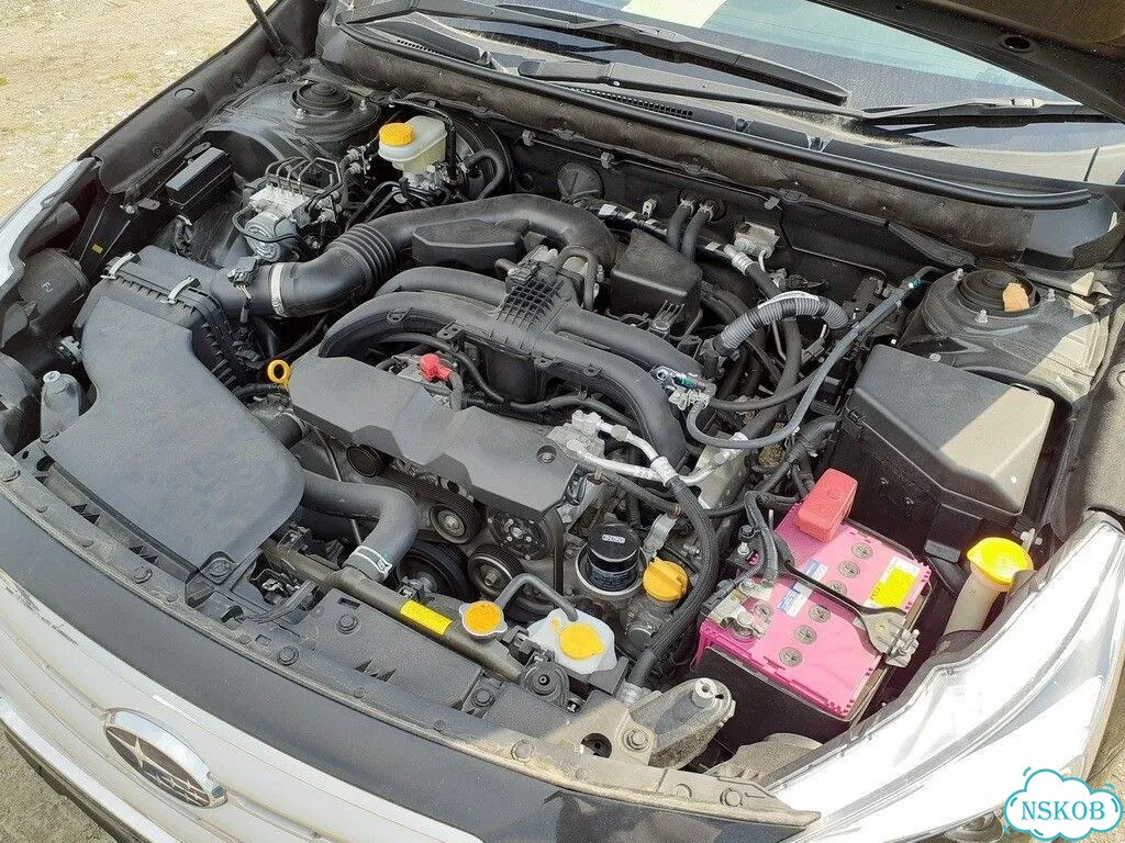 Петля дверная (комплект) Subaru Outback BS9 фото 8