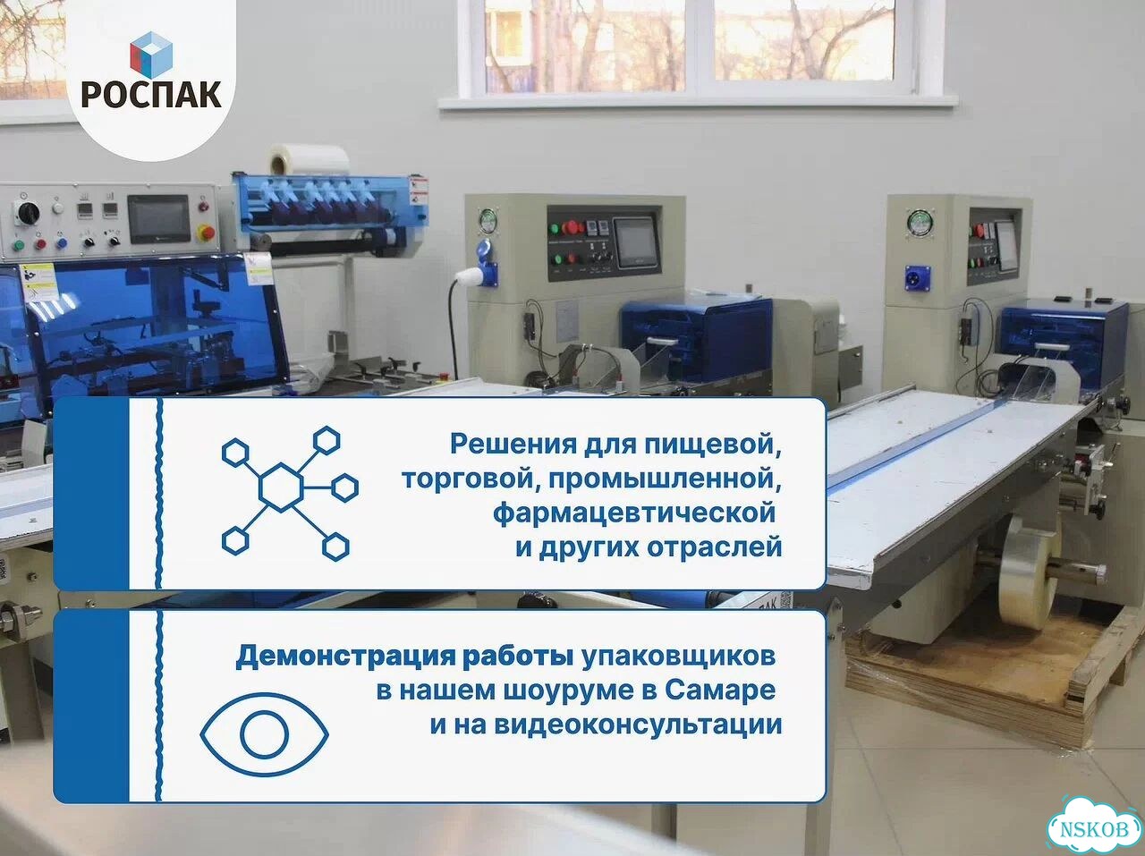 Горизонтальная упаковочная машина (упаковка в пупырку) Роспак AG-600XSB / В наличии на складах фото 6