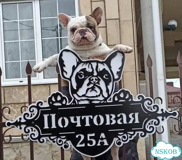 Красивая вывеска на дом, стильный указатель фото 10