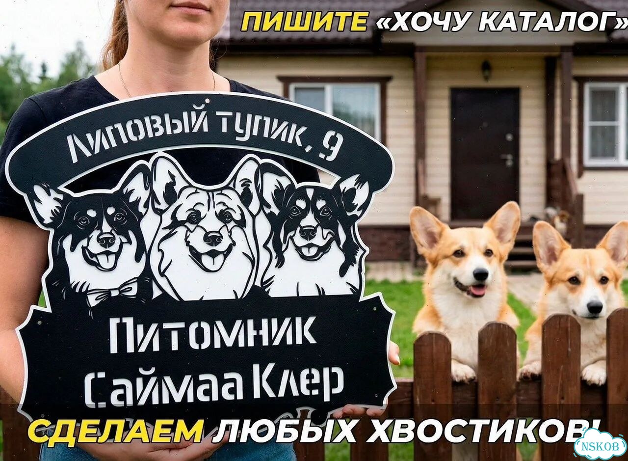 Стильная табличка на дом по фото животного, металл фото 3