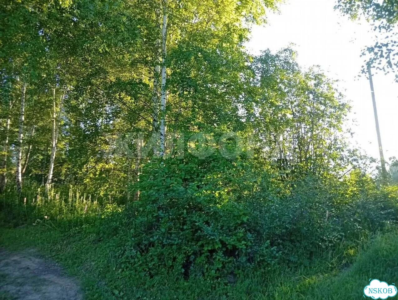 Участок 12 сот. (СНТ, ДНП) фото 2