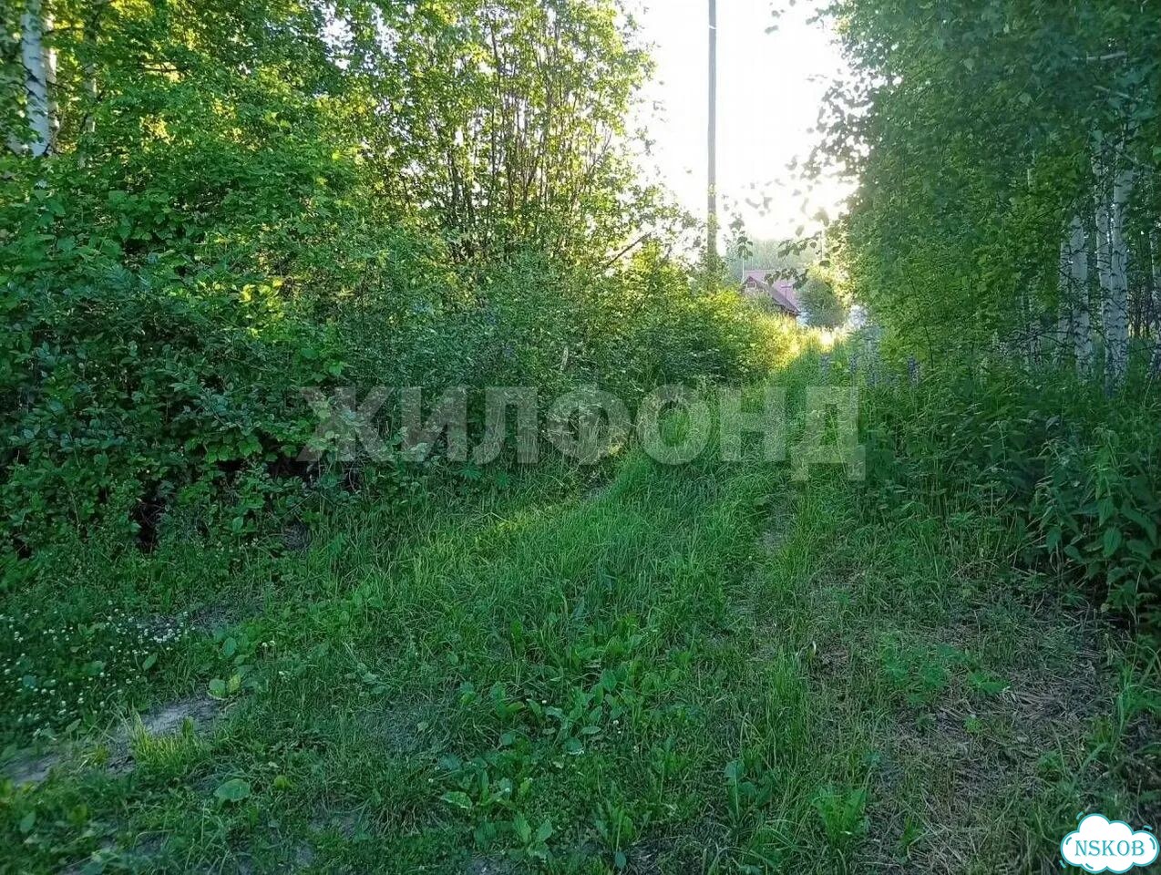 Участок 12 сот. (СНТ, ДНП) фото 3