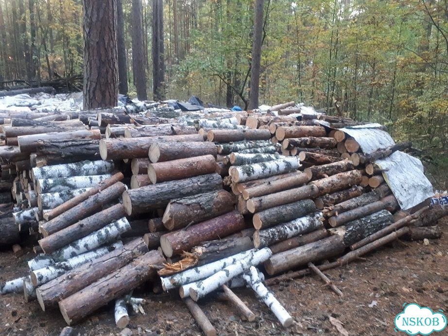 Продам дрова сухие В чурках фото 1