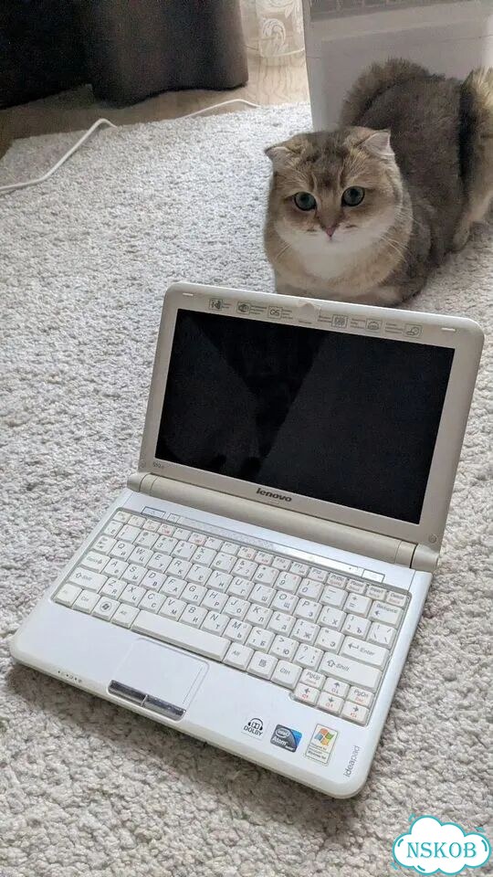 Lenovo ideapad s10 2 фото 9