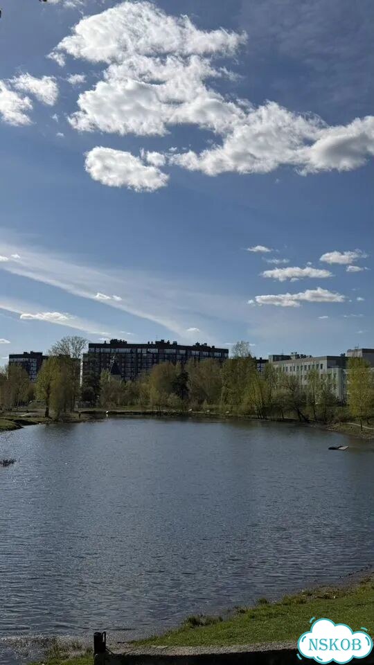 Дом 60 м² на участке 3 сот. фото 9