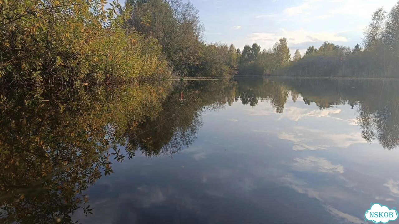 Подарочный сертификат водная прогулка фото 2