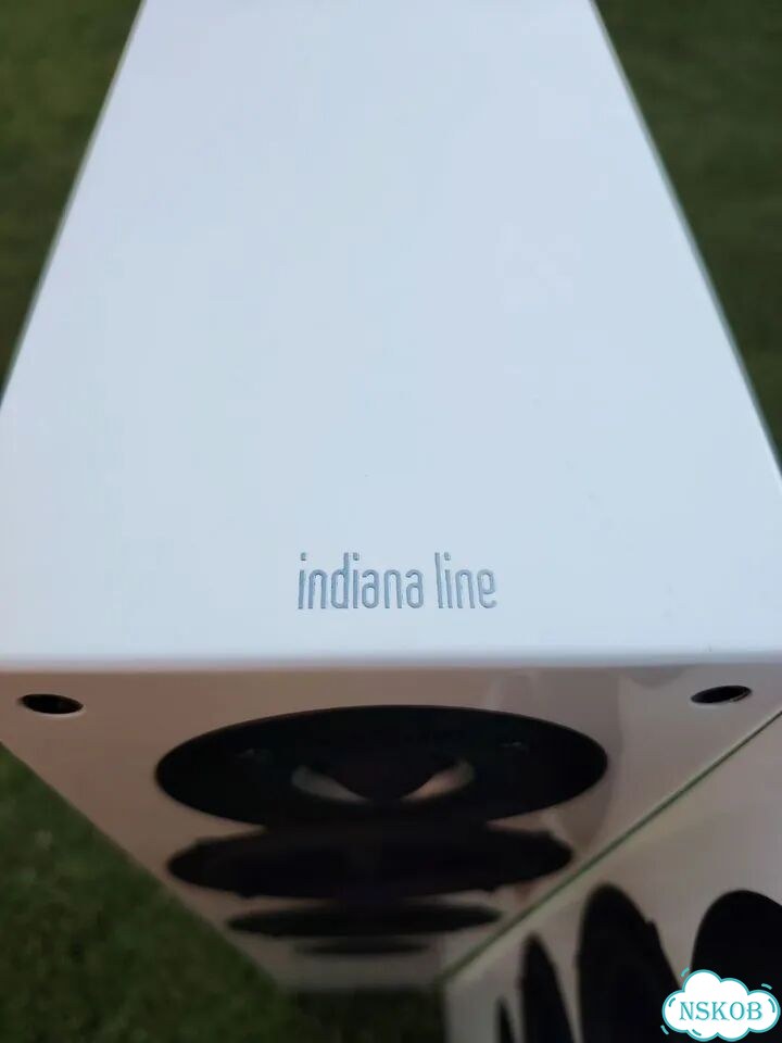 Акустика Coral Indiana Line Tesi 542 Белая фото 4