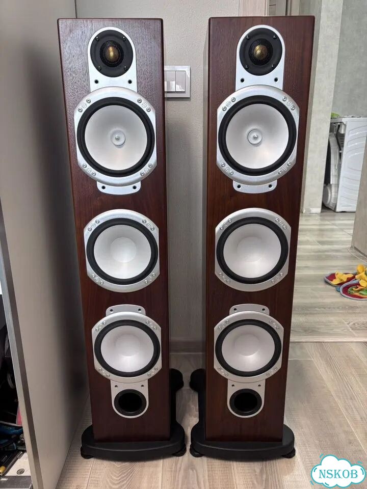 Колонки monitor audio RS-8 фото 2