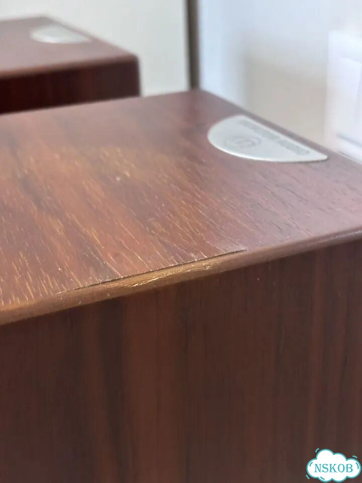 Колонки monitor audio RS-8 фото 4
