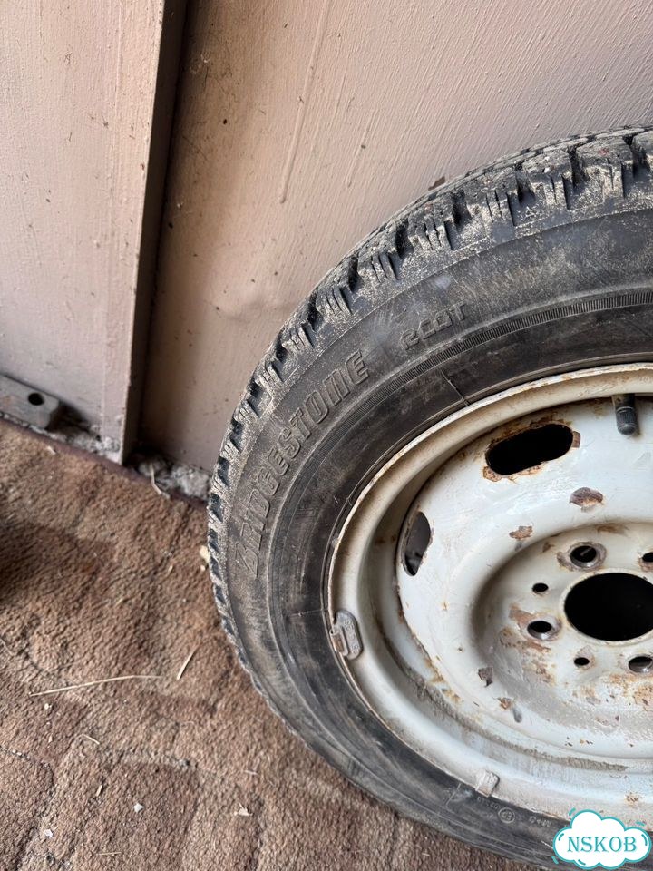 Bridgestone WT14 165/70 R13 88T фото 2