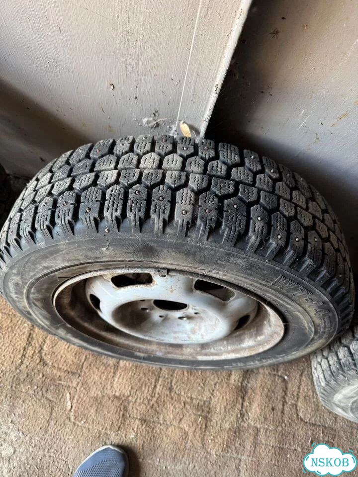 Bridgestone WT14 165/70 R13 88T фото 4