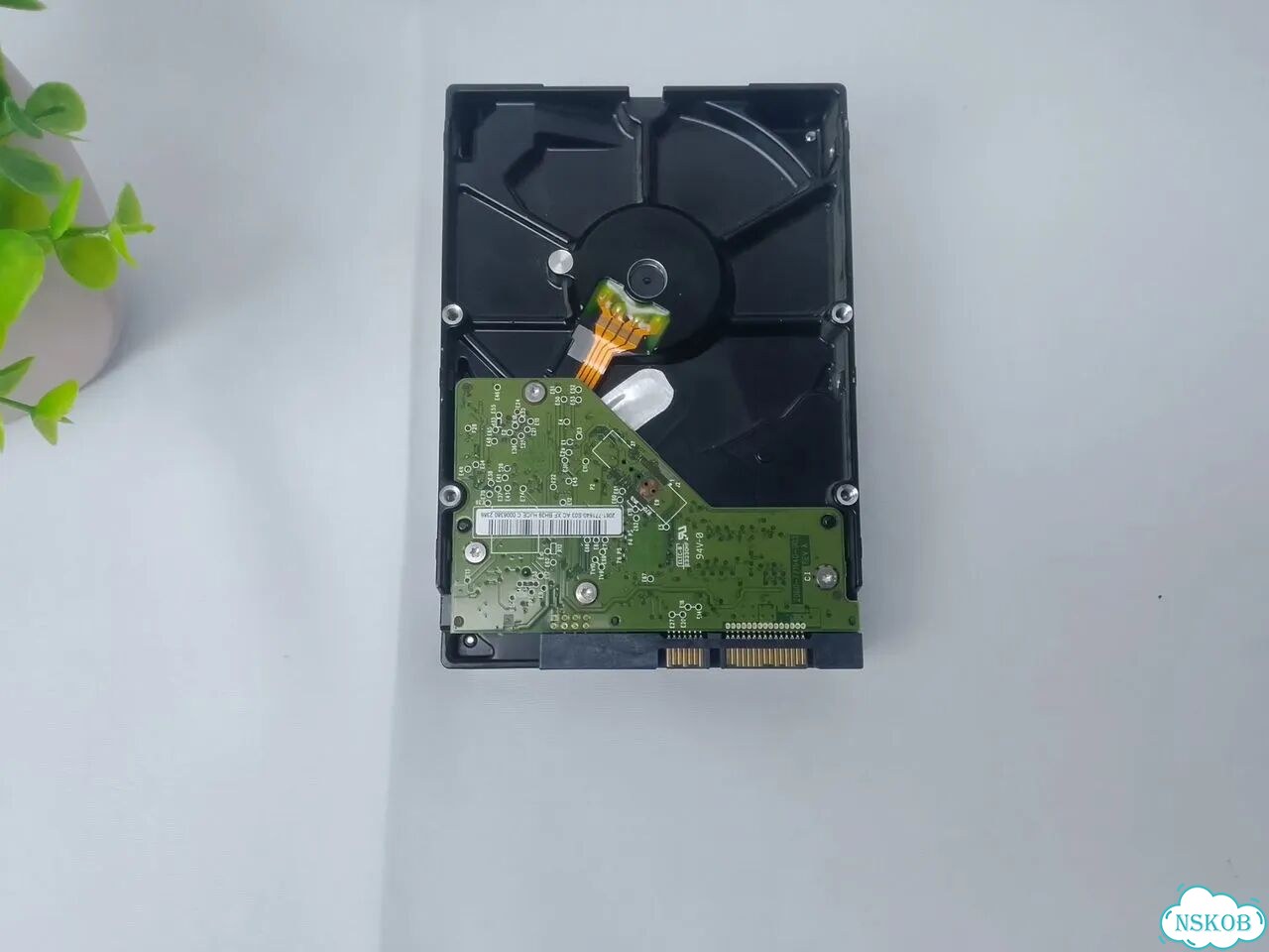 Жёсткий диск 500гб WD Blue WD5000aakx фото 4