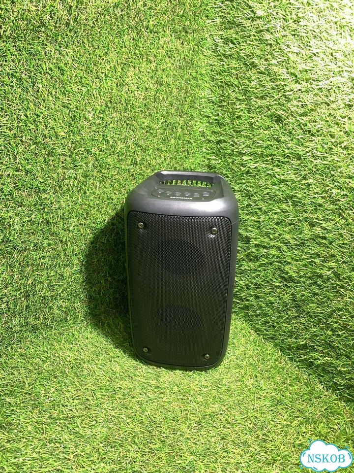 Колонка Soundmax SP-PS4524 (т) фото 1