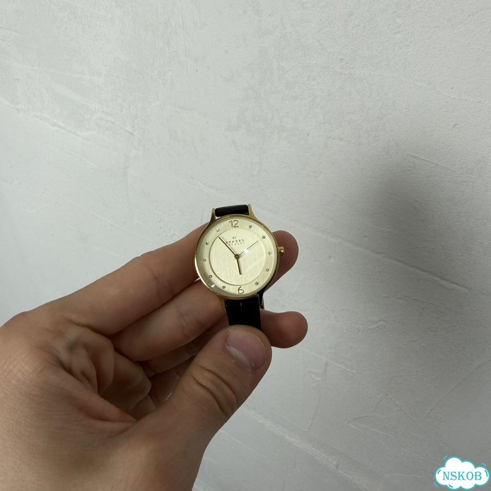 Часы Skagen Denmark SKW2266 фото 1