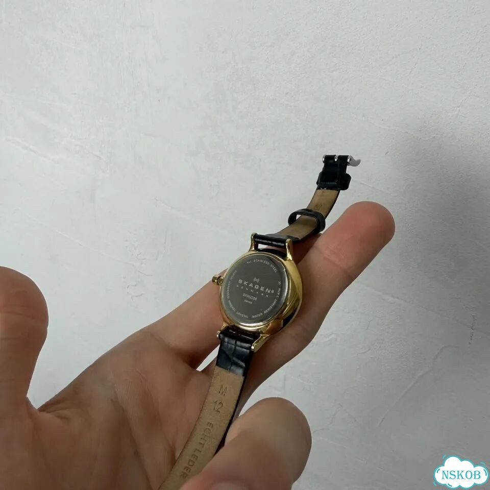 Часы Skagen Denmark SKW2266 фото 2