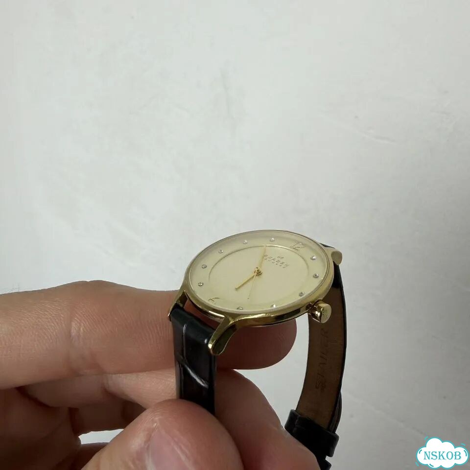 Часы Skagen Denmark SKW2266 фото 4