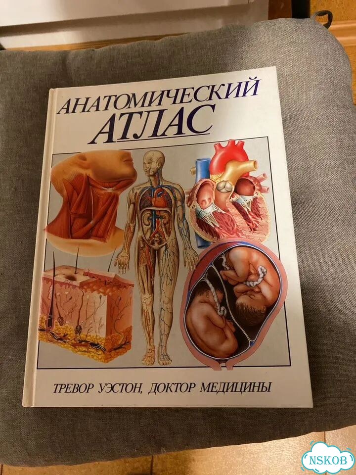 Анатомический атлас Тревор Уэстон фото 1