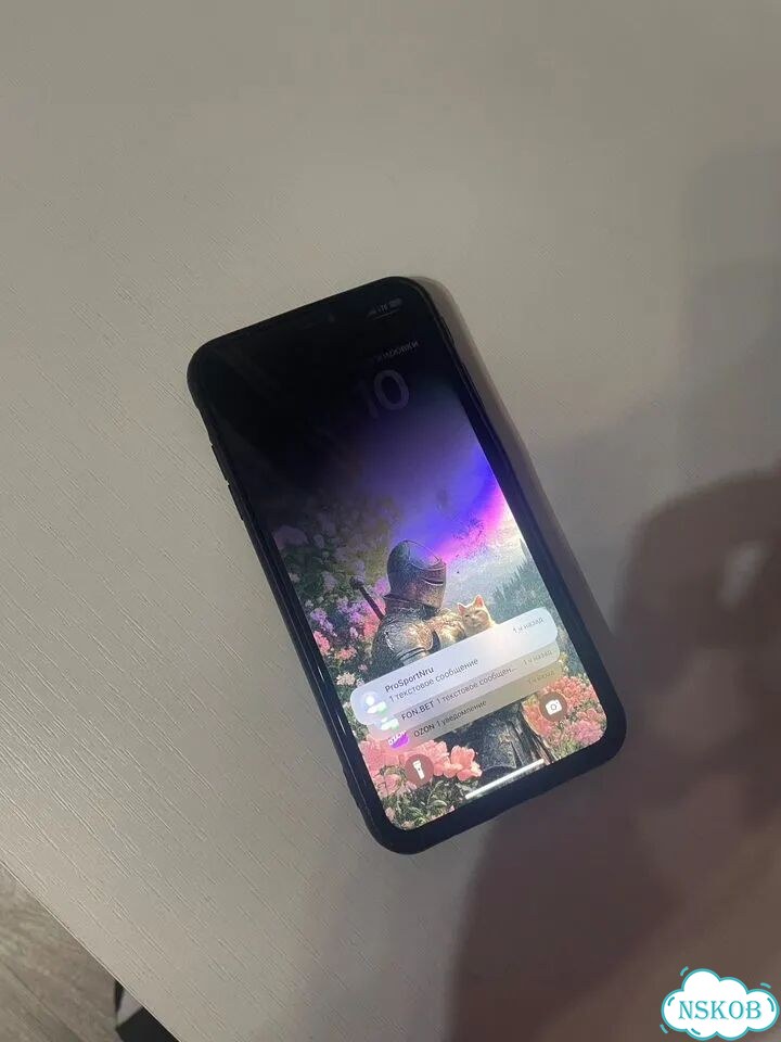 iPhone Xs Max, 256 ГБ, 1 SIM фото 2