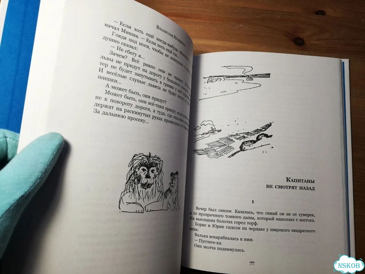 Крапивин Палочки для васькиного барабана фото 4