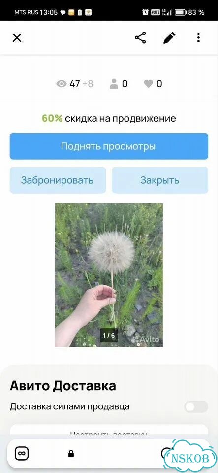 Одуванчики стабилизированые сухоцвет фото 3