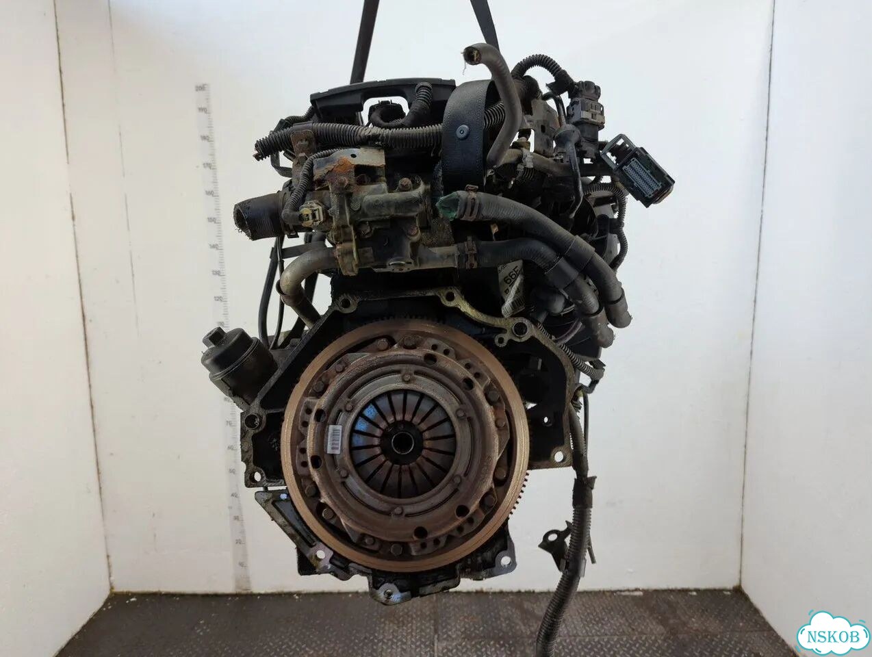 Двигатель Opel Zafira B A16XER фото 5