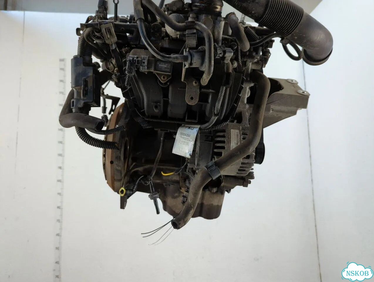 Двигатель Opel Corsa D Z10XEP фото 5