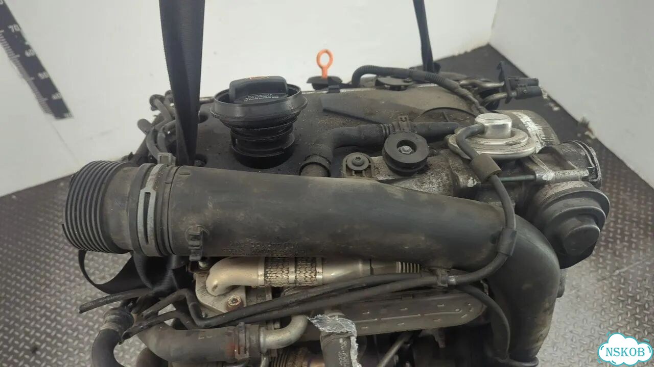 Двигатель Volkswagen Golf 5 BKC фото 7