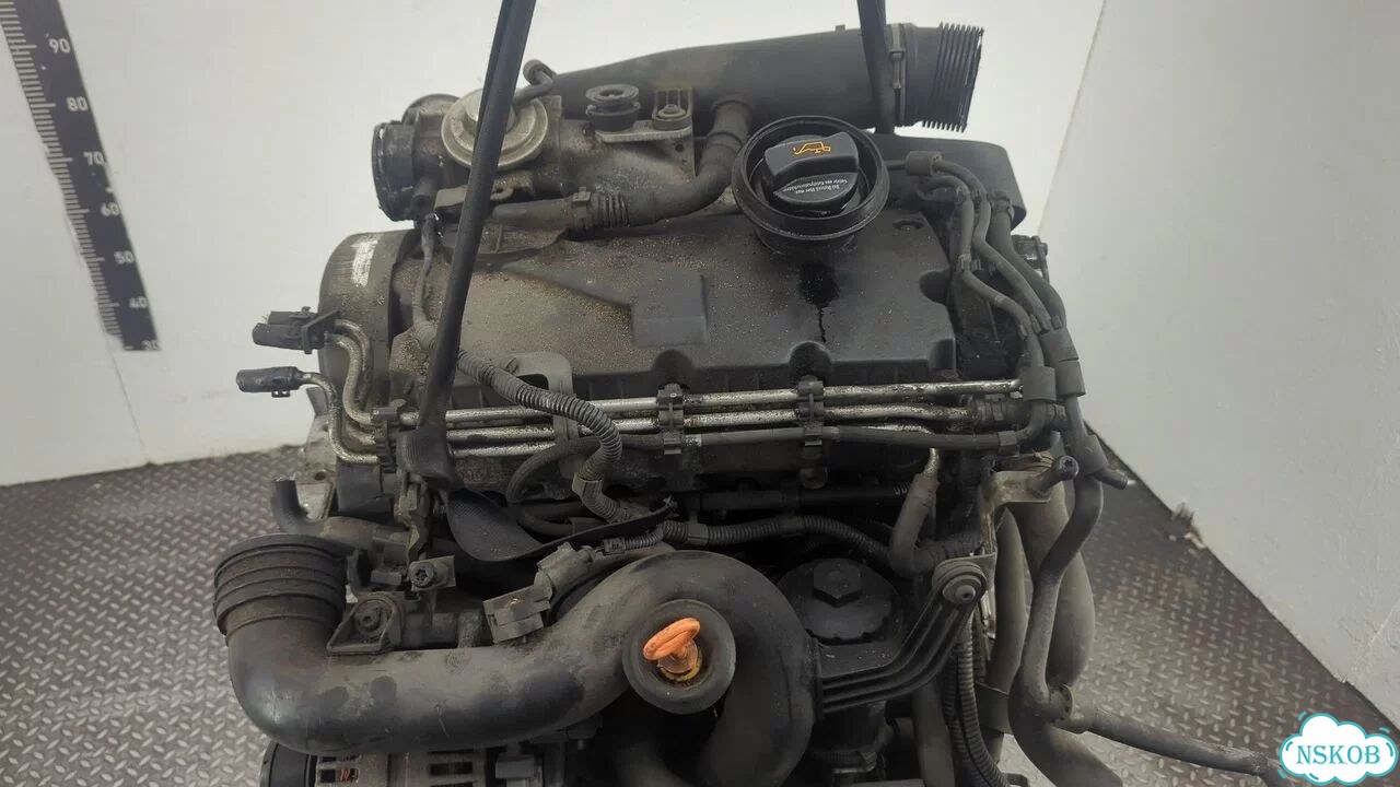 Двигатель Volkswagen Golf 5 BKC фото 8