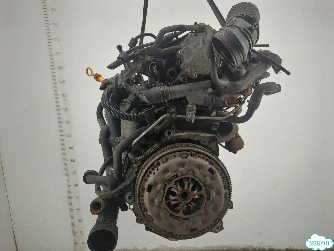 Двигатель Audi A3 (8P) BXE фото 3