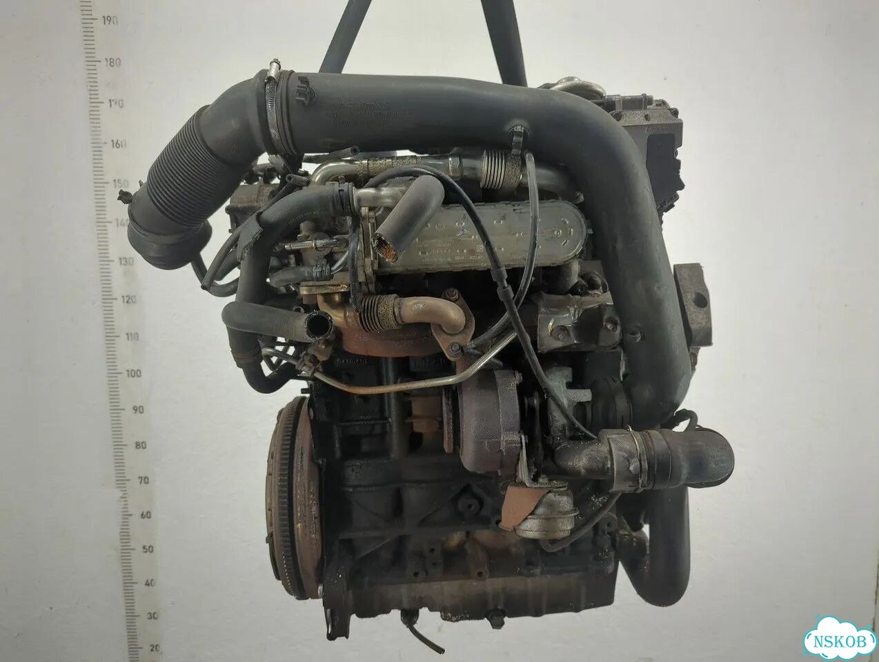 Двигатель Audi A3 (8P) BXE фото 5