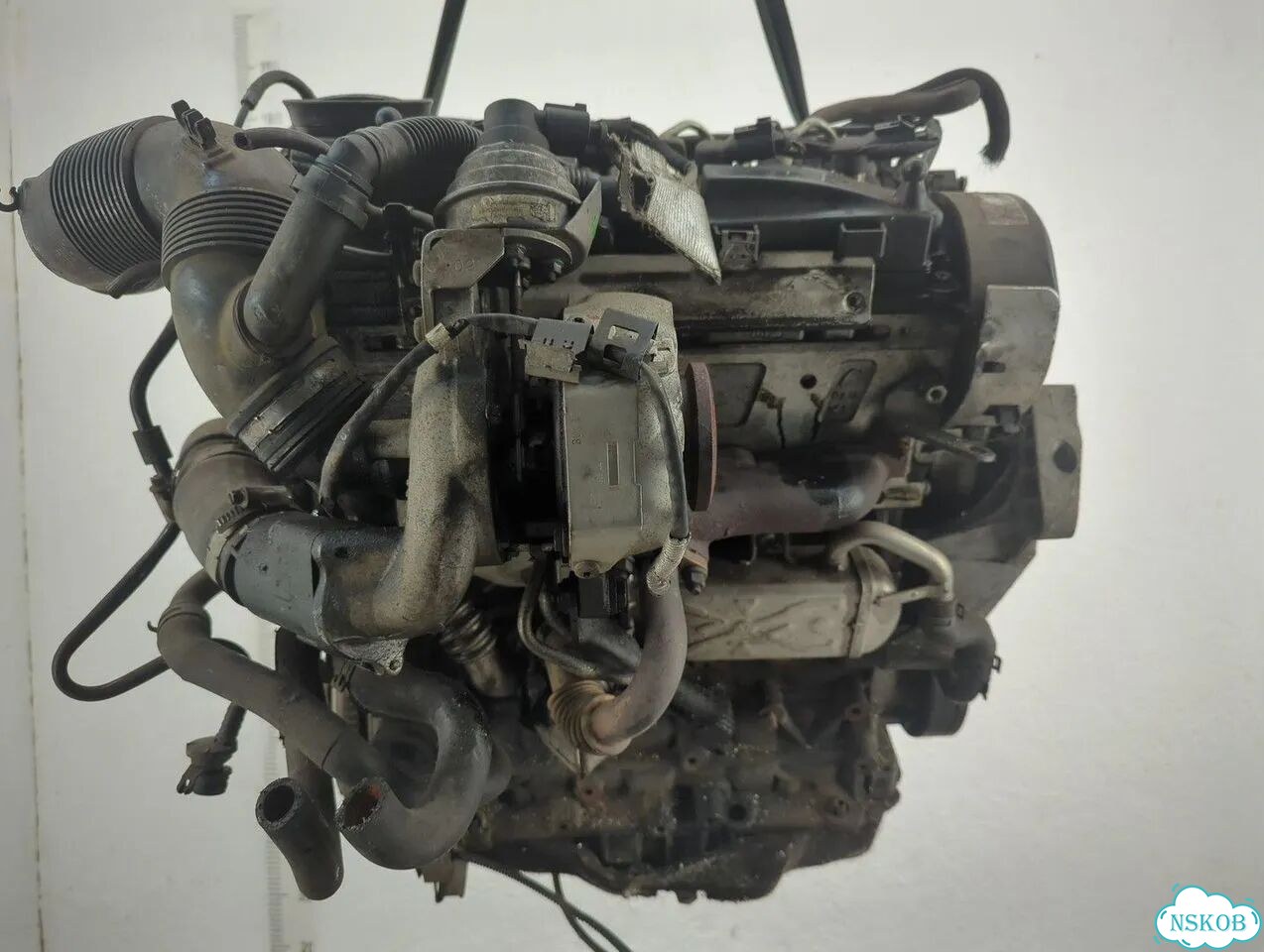 Двигатель Volkswagen Golf 6 cayc фото 5