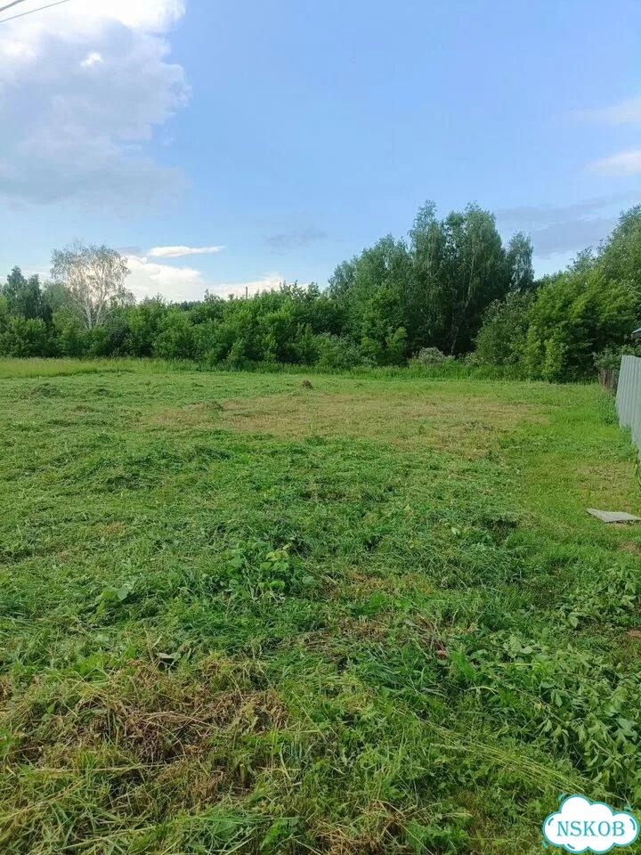 Покос травы триммером фото 1